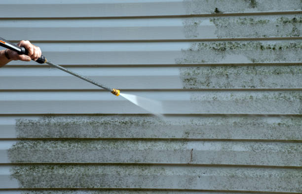 Best Fence Pressure Washing  in Mission, TX