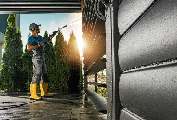 Best Affordable Power Washing  in Mission, TX