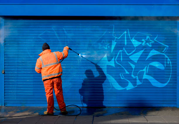 Best Garage Pressure Washing  in Mission, TX