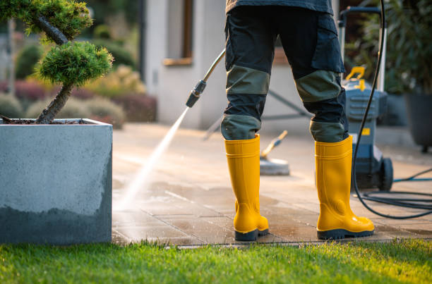 Roof Power Washing Services in Mission, TX